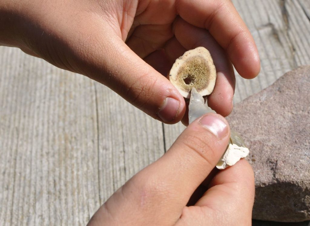 Durch Mark und Bein: Vermittlungsprogramm zur Knochenbearbeitung in der Steinzeit <br/>Farsi le ossa: programma didattico su monili e utensili in materiale osseo<br/><br/>Working with deer antler during a educational program for school classes