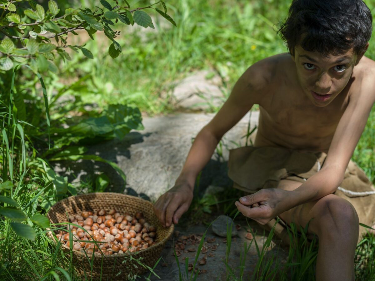 Junge öffnet die gesammelten Haselnüsse mit Hilfe eines Steines<br/> Ragazzo apre le nocciole raccolte con l'aiuto di una pietra<br/>Boy opens the collected hazelnuts with a stone<br/><br/>archeoParc Val Senales