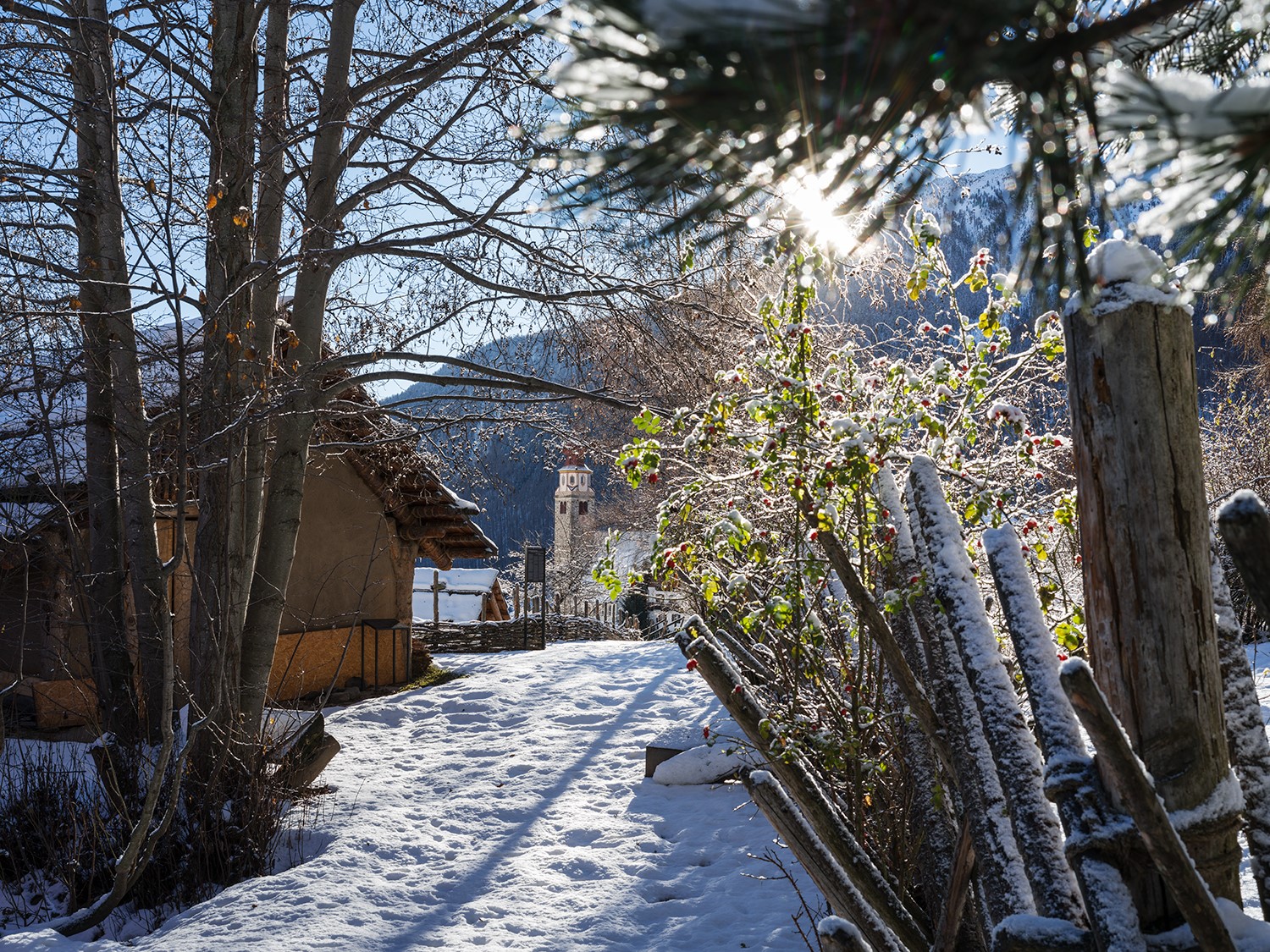 Mehr über den Artikel erfahren Den archeoParc im Winter besuchen